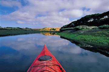 Visit Elkhorn Slough