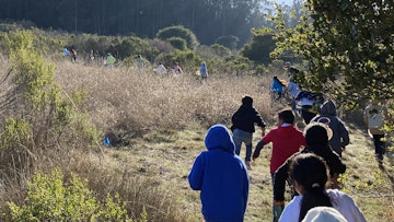 Community Engagement