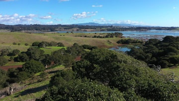 Tidal Wetland Program