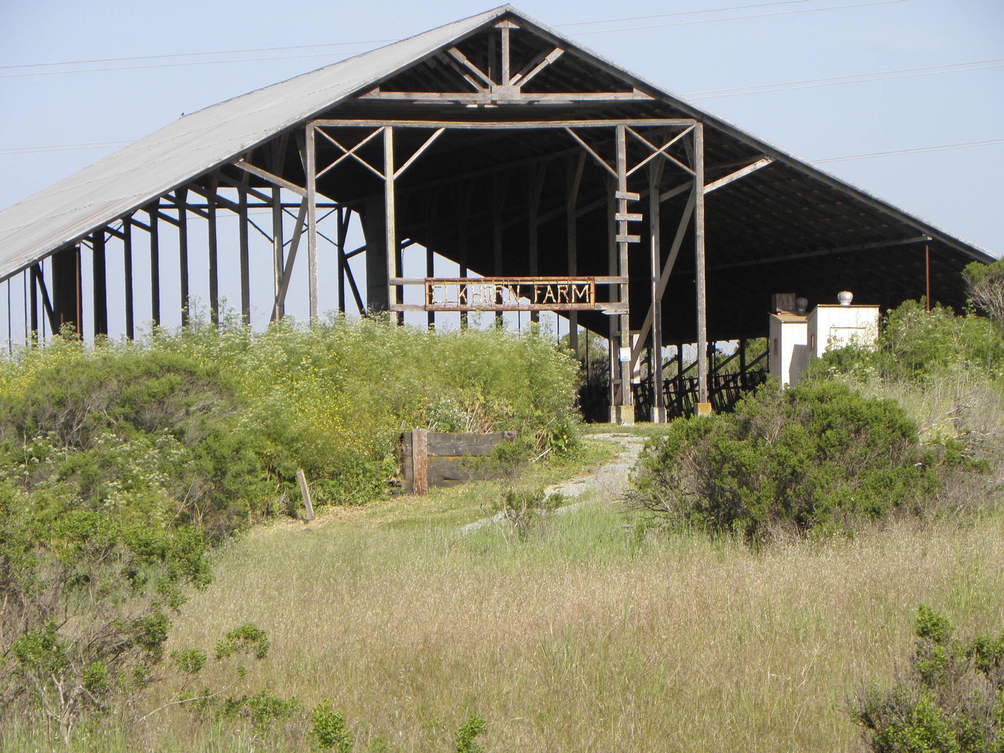 Weaving Yesterdays Series Elkhorn Dairy Farm Elkhorn Slough