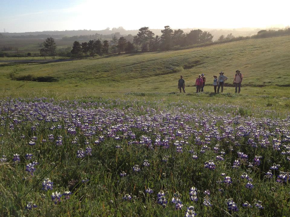 Accredited Land Trust Elkhorn Slough