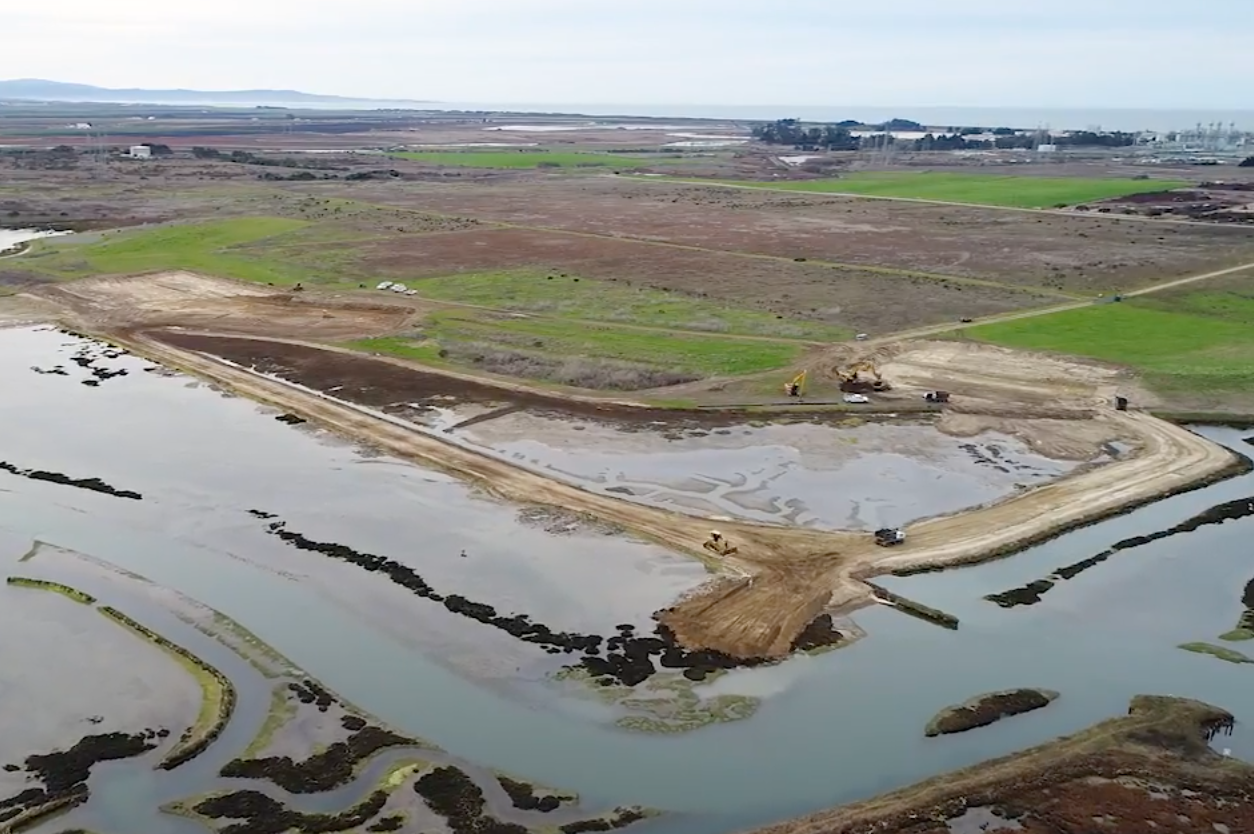 Hester Marsh Restoration Underway Elkhorn Slough