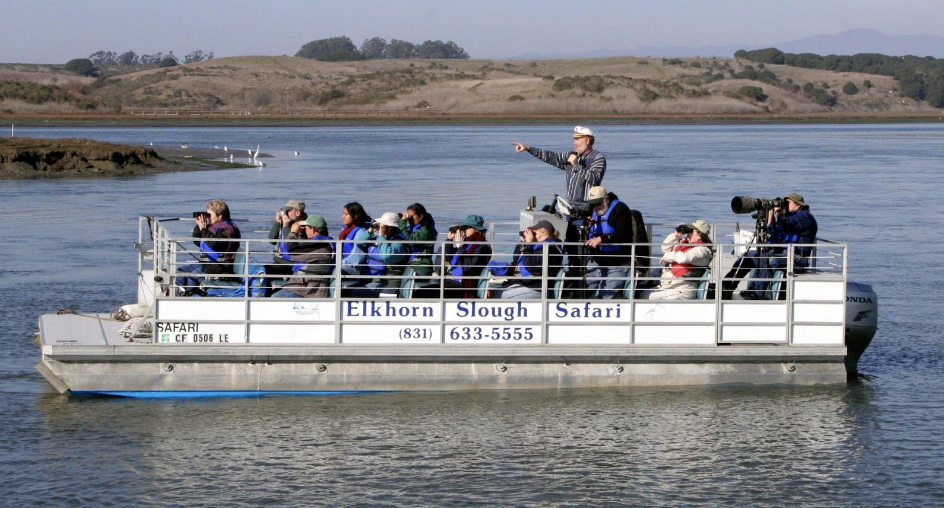 Slough Safari boat tour