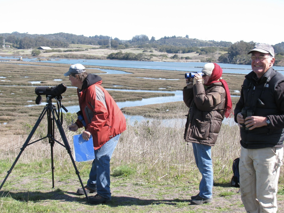 volunteers with a scope watching otters